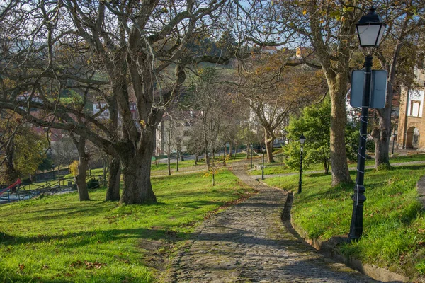 Spanska Park Med Grönt Gräs Flera Träd Och Sol Och — Stockfoto
