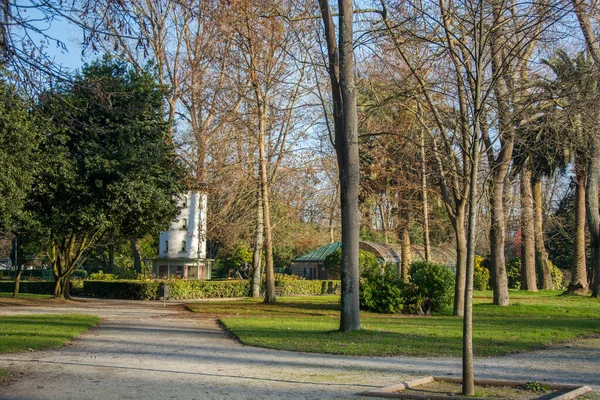 Park Detail Met Verschillende Bomen Groen Gras Zonlicht — Stockfoto