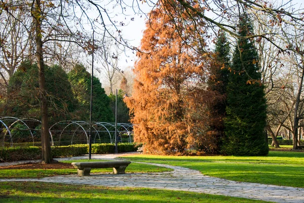 Detalle Del Parque Con Banco Hierba Verde Varios Árboles — Foto de Stock