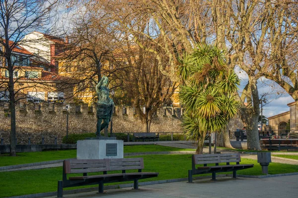 Photo Park Several Trees Cold Colours Two Benches — Stock Photo, Image