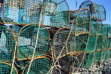 Bir bağlantı noktası b ağları