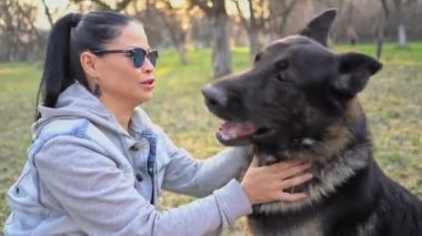 Usta topu parktaki çoban köpeğinden saklar. Genç kadın sonbaharda caddede büyük köpekle oynuyor. Yüksek kalite 4k görüntü