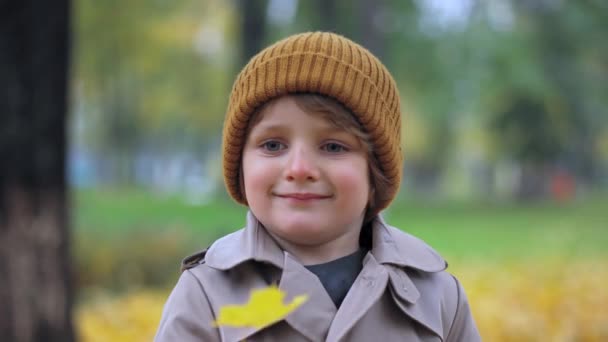 Happy boy 4-6 jaar oud in herfstpark warm gekleed. Een klein kind dat op herfstwandeling speelt. Herfst stadspark met gouden bladeren. Hoge kwaliteit 4k resolutie beeldmateriaal — Stockvideo