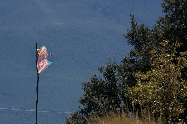 Buddhistisk Flag Bjerget - Stock-foto