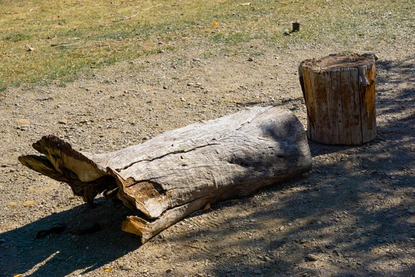 Siedzenia Korą Pnia Drzewa — Zdjęcie stockowe
