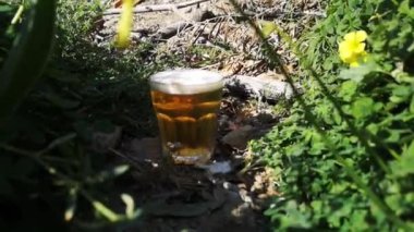 Aziz Patrick için yoncaların ortasında bir bardak bira.