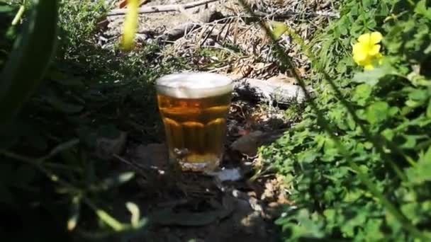 聖パトリックのためのクローバーの真ん中にあるビールのガラス — ストック動画