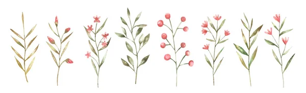 Zestaw Uroczych Gałązek Kwiatów Ilustracja Botaniczna Projekt Dla Dzieci Projekt — Zdjęcie stockowe