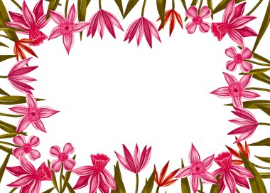 El Boyalı Pembe Tropikal Çiçekler Çerçeve Sınırı Beyaz Arkaplanda Yeşil Yapraklar, Kopya Boşluğu ile Çiçek Botanik Çizimi