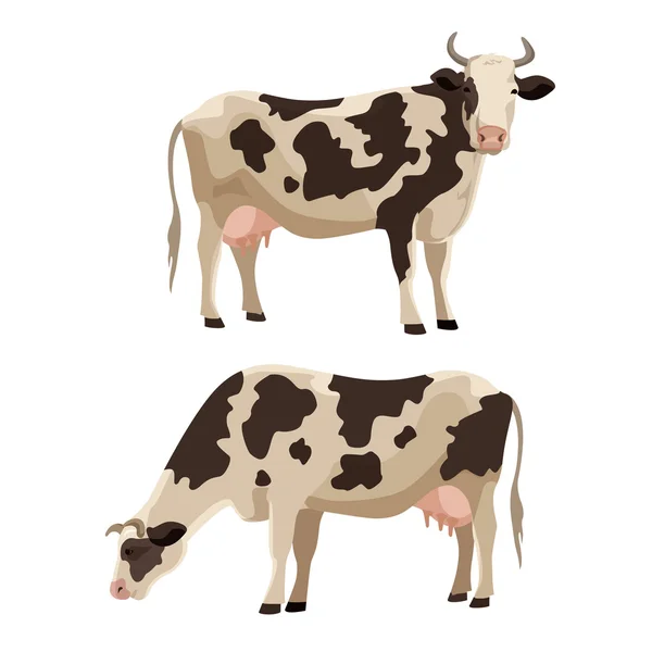 Ensemble d'illustrations vectorielles de vaches tachetées . — Image vectorielle