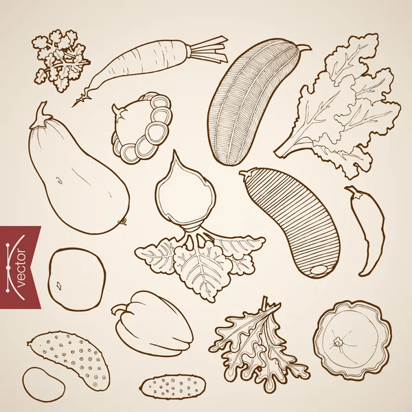 Croquis au crayon de la collection de légumes — Image vectorielle