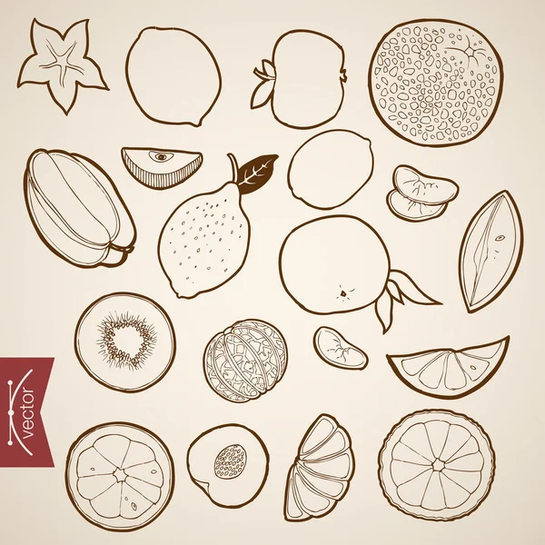 Croquis au crayon de la collection Fruits — Image vectorielle