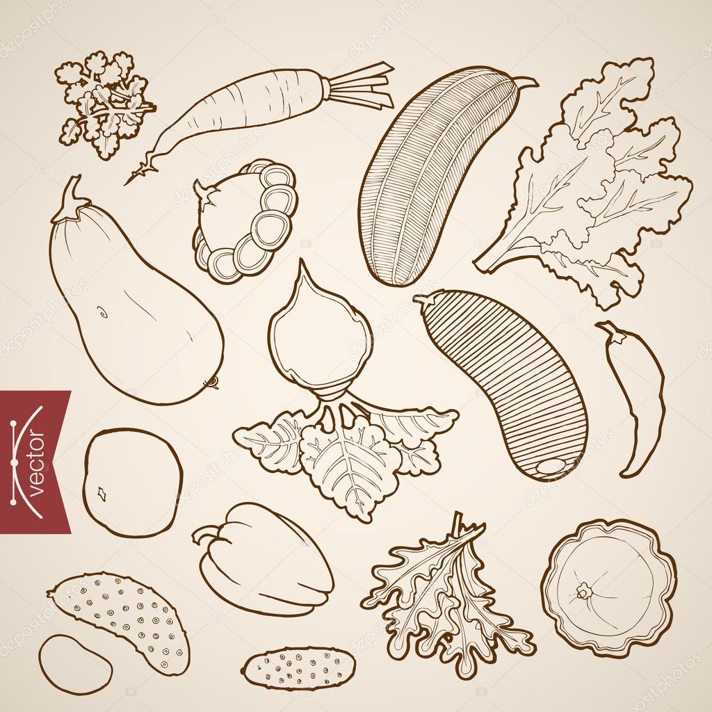 Coleção de legumes com desenho ou estilo mão desenhada