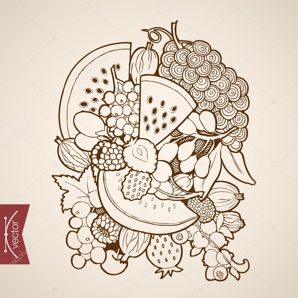Pencil Sketch of fruits Stock Vector by ©Sentavio 117601556