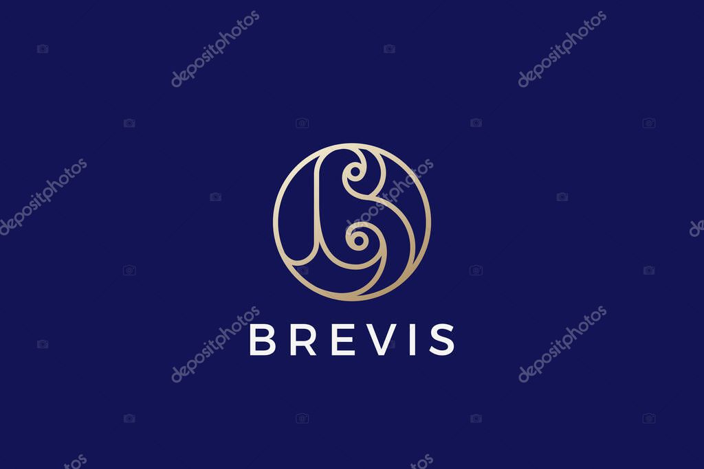 Letter B Logo design Business Luxury vector template Circle shape Linear style.