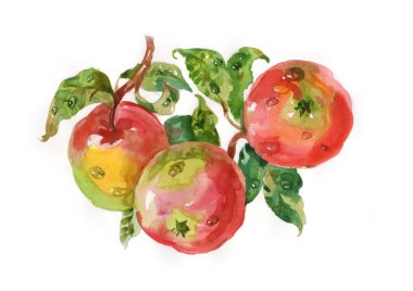 Suluboya elma yaprakları ile