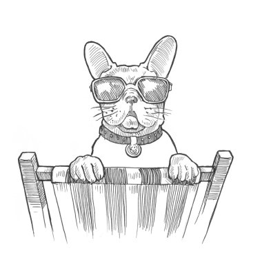 resimde köpek tatil kavramı