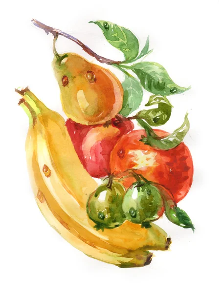 Aquarela pintura de frutas — Fotografia de Stock