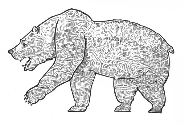 Crayon peinture illustration éléphant — Photo
