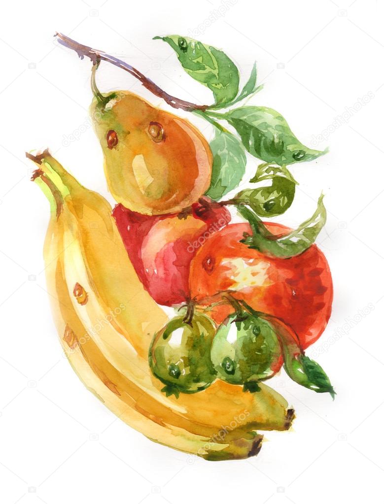 Watercolor painting of fruits Stock Photo by ©Sentavio 83130568