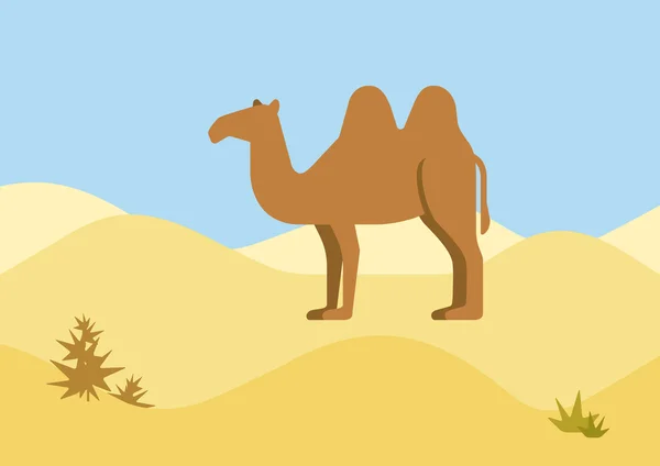 Camel désert habitat arrière-plan — Image vectorielle