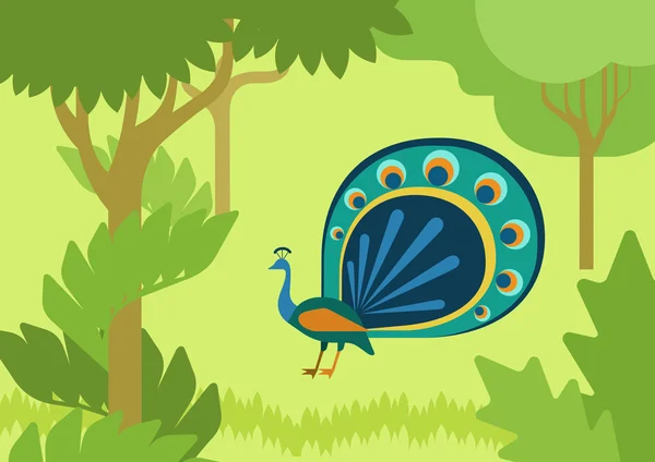 Pavo real con cola que fluye en el bosque — Vector de stock