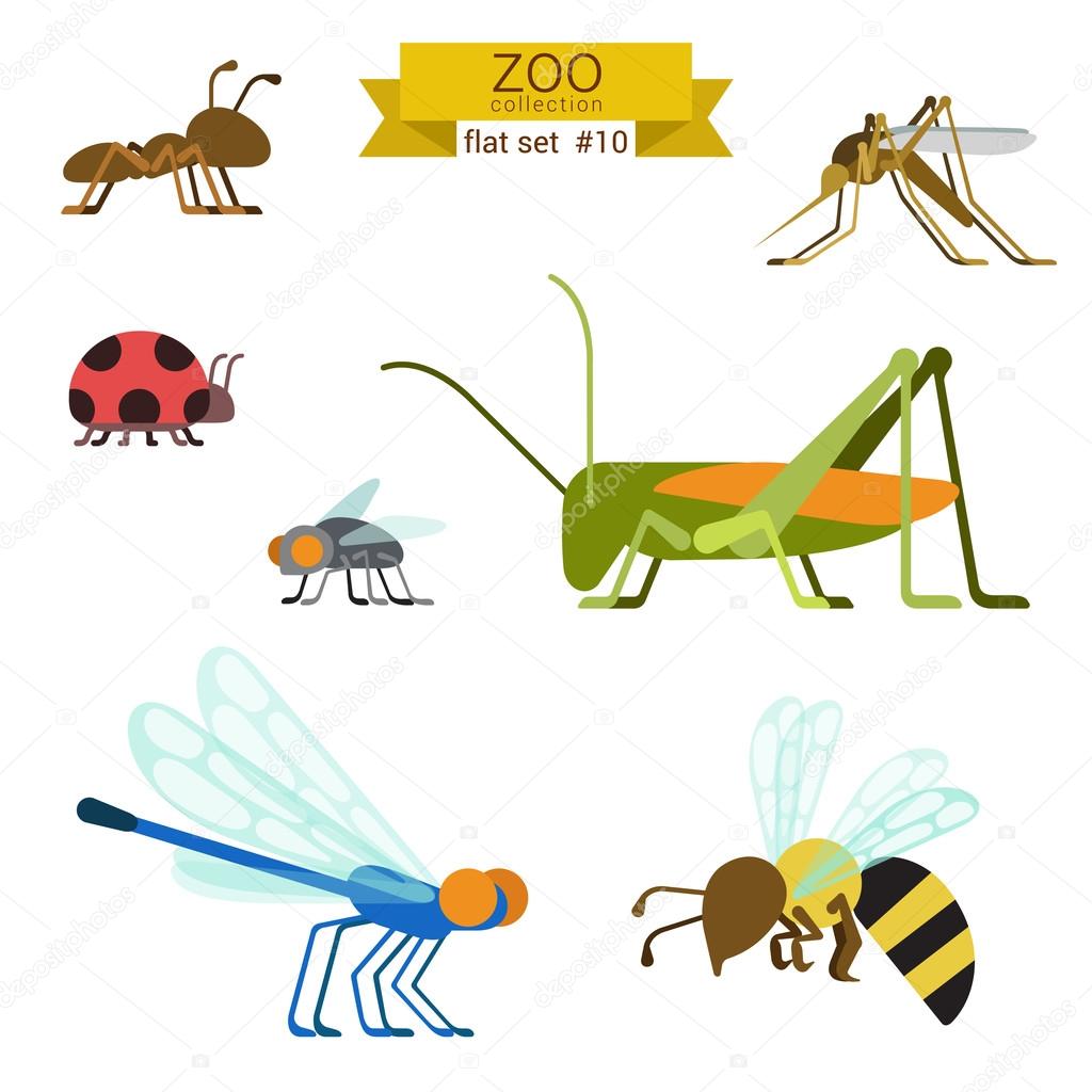 insects and ants icon set.
