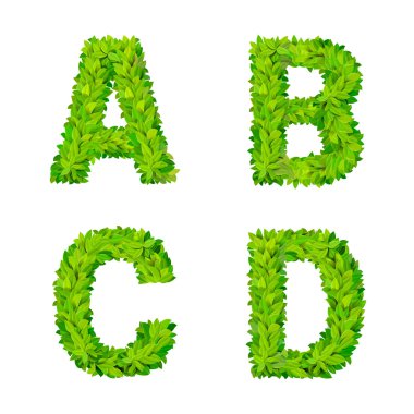 ABC grass leaves letters  elements