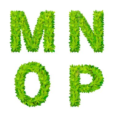 ABC grass leaves letters  elements
