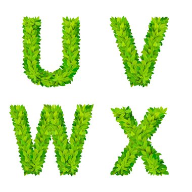 ABC grass leaves letters  elements