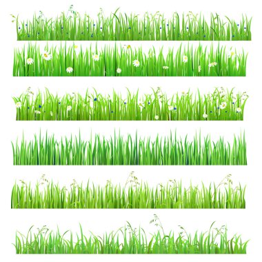 grass lines isolated background