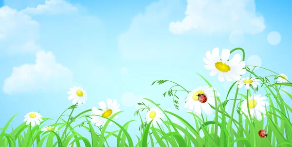 Nature spring summer background — Διανυσματικό Αρχείο