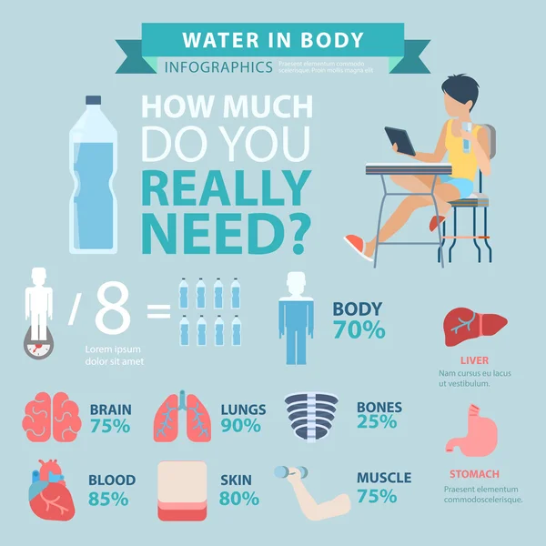 Air dalam konsep infografis tubuh - Stok Vektor