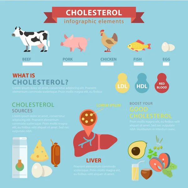 Cholesterol sources infographics concept — Stock Vector