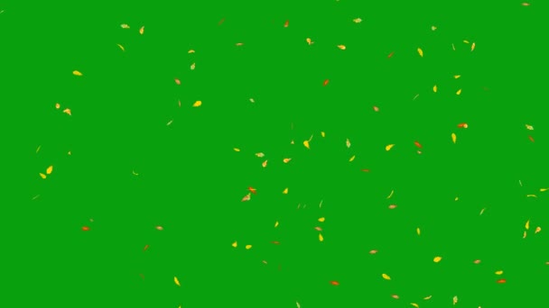 Падіння Дуба Листя Зеленого Екрану Графіка Руху — стокове відео