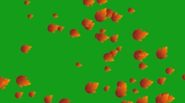 Düşen yapraklar yeşil ekran hareket grafikleri