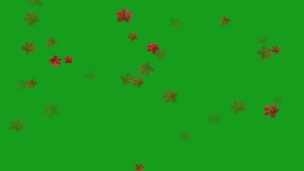 Falling Red Colour Flowers Green Screen Motion Graphics — Stock Video