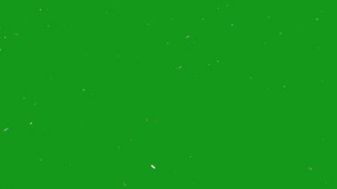 Kar tanelerinin üflenmesi yeşil ekran hareketli grafikleri