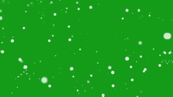 Schneefall Green Screen Bewegungsgrafik — Stockvideo