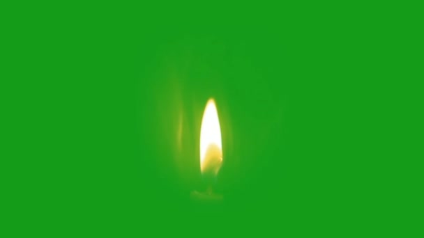 Candle Light Green Screen Motion Graphics — Stock Video