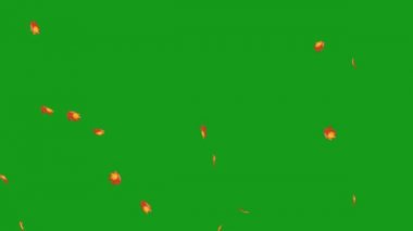 Düşen yapraklar yeşil ekran hareket grafikleri