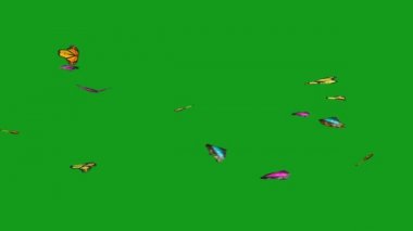 Dalgalanan kelebekler yeşil ekran hareketi grafikleri