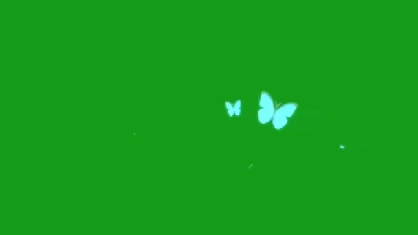 Flygande Magi Fjärilar Grön Skärm Rörelse Grafik — Stockvideo