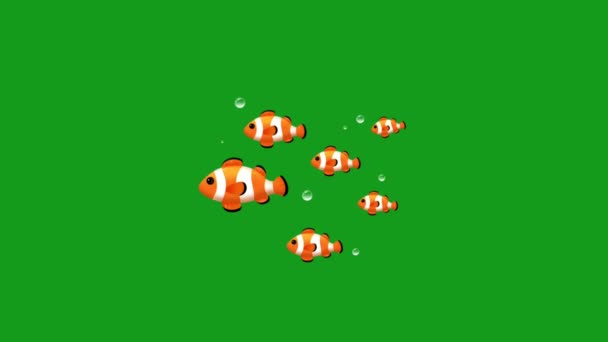 Poissons Natation Graphiques Mouvement Écran Vert — Video