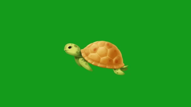 Graphismes Mouvement Écran Vert Tortue Natation — Video