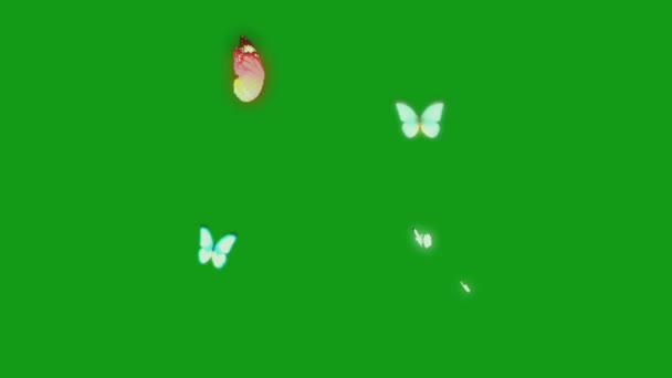 Mariposas Voladoras Pantalla Verde Gráficos Movimiento — Vídeo de stock