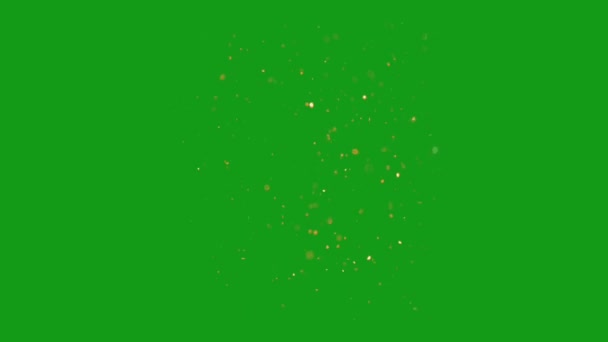 Graphismes Mouvement Écran Vert Particules Paillettes Tombantes — Video