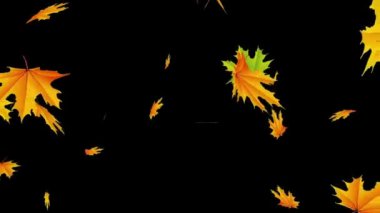 Düşen yapraklar, gece arkaplanlı hareket grafikleri