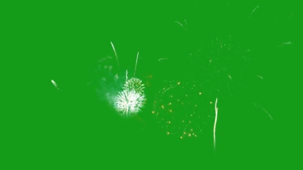 Феєрверк Зелений Екран Графіка Руху — стокове відео