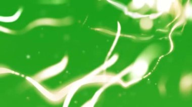 Bokeh yeşil ekran hareket grafiklerini aydınlatıyor